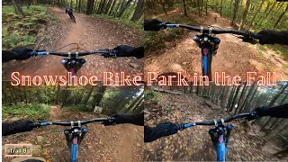 Snowshoe Bike Park in the Fall [A Mashup of Some of the Best Trails and Features 4K]