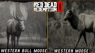 Red Dead Redemption 2 - Western Bull Moose/ Western Moose Location - Grizzlies East / O'Creagh's Run