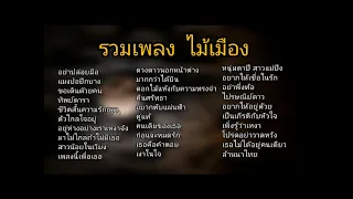 รวมเพลง ไม้เมือง