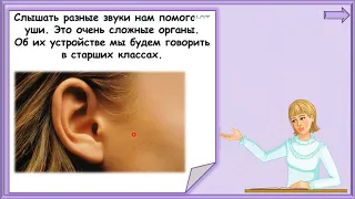 Почему звенит звонок? #1класс #окружающиймир #дистанционноеобучение