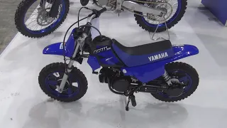 Yamaha PW50 Motorcycle (2023) Exterior and Interior