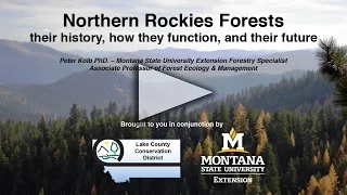 Northern Rockies Forests, their history, how they function, and their future