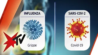 Corona vs. Influenza: Die Fakten | stern TV