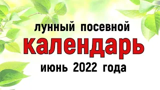 Лунный посевной календарь на ИЮНЬ 2022 года для садоводов. Календарь огородника.