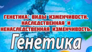 Генетика: виды изменчивости. Наследственная и ненаследственная изменчивость. #бесплатныеуроки