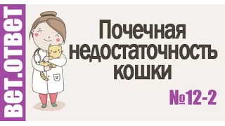 Почечная недостаточность кошки, проблемы с желудком. ВетОтвет 12-2