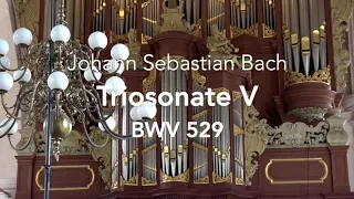 J.S. BACH: ORGAN SONATA NO. 5 IN C MAJOR, BWV 529 | GERBEN BUDDING