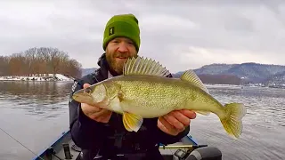 Fast Mid Day Action on Spring River Walleyes | Mississippi River Spring Walleye Run