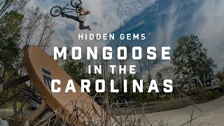 Hidden Gems: Mongoose in the Carolinas