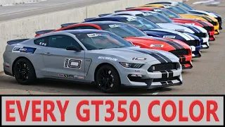 Every GT350 Color (2015-2020)