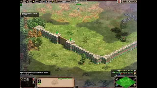 Dominating with Roman Centurions + Heliopolis on Citadel in Age of Empires 2 Return of Rome 2 vs 2