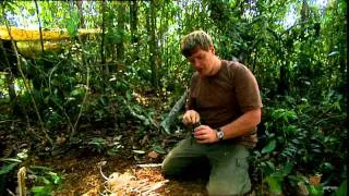 Ray Mears Bushcraft - Jungle Fire Lighting - Rozpalenie ogniska w dżungli