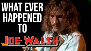 A Trip into the Legend of Joe Walsh: An Unparalleled Journey