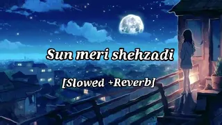 Sun Meri Shehzadi//Female version//(Slowed Reverb)Hindi Love song #Uglofiofficial