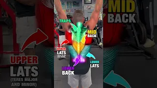 DO THIS For a Bigger Back