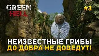 Неизвестные грибы. До добра не доведут! - Green Hell #3