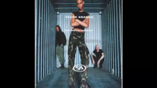 Skunk Anansie - Intellectualise my blackness