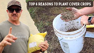 6 REASONS YOU SHOULD BE GROWING COVER CROPS