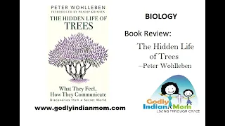 Book Review: Science - Biology-  The Hidden life of trees by Peter Wohlleben