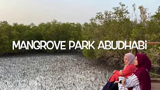 Mangrove Park Abudhabi / Mangrove Walk Abudhabi / Mangrove Abudhabi /Mangrove broadwalk