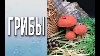 Грибы/Окрашиваем мыло/Мыловарение/Soap/DIY