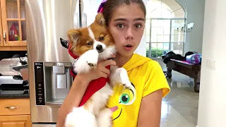 Nastya and Artem are preparing holiday cookies with their puppy Marty | Mia and friends