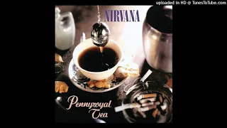 Nirvana - Pennyroyal Tea (Pachyderm Studios - Guitar Only)
