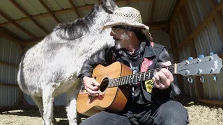 Hazel The Donkey Is beside Herself With This Johnny Cash Song