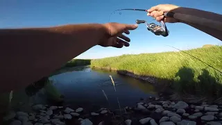 This tiny creek is FULL of Pike in Southern Alberta