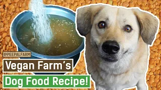 Ghar par dog food kaise banaye | Dog food at home | Vegan Dog Food | Dog Food Recipe