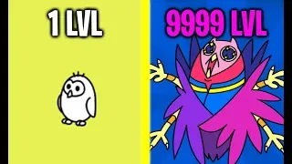 MAX LEVEL OWL GOD EVOLUTION Galaxy Evolution! (9999+ Level Legendary Owl!)