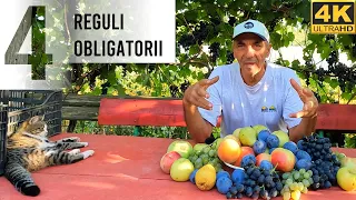 4 reguli obligatorii in aplicarea tratamentelor - foarte important!