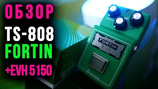 Обзор Fortin TS-808. Модифицированный Ibanez Overdrive. Fortin Modified TS-808 + EVH 5150 III