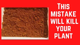 || THIS MISTAKE WILL KILL YOUR PLANT ? ||