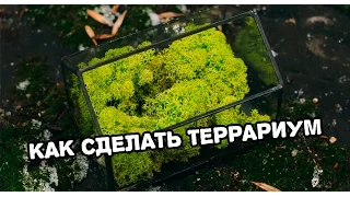 Как сделать террариум. Витражная техника Тиффани.