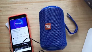 T&G TG 264 Bluetooth Speaker | Unboxing | Testing | TWS Connection