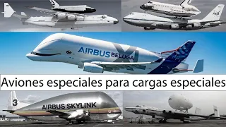 Del Pregnant Guppy hasta Beluga XL: aviones especiales para cargas especiales