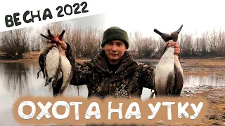 Охота на уток в Якутии - весна 2022