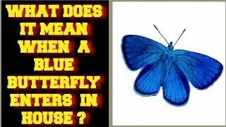 WHAT DOES IT MEAN WHEN A BLUE BUTTERFLY ENTERS IN YOUR HOUSE ?