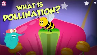 What Is Pollination? | POLLINATION | The Dr Binocs Show | Peekaboo Kidz