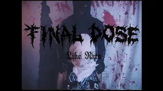 Final Dose - 'Like Rats'