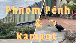 Cambodia 🇰🇭 #4 Phnom Penh and Kampot . Bokor National Park, Drag Show, and encounter with Hornbill.