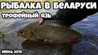 Рыбалка в Беларуси, на реках: Березина, Вилия, Западная Двина