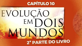 DISCIPLINA AFETIVA - 2ª Parte do livro - Capítulo 10