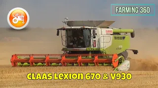 Harvest 2021 | Claas Lexion 670 combine with V930 header