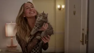 Anthony and his italian have a fight and Carrie shows everyone her cat AND JUST LIKE THAT S2 EP11