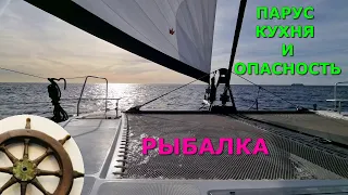 нападение КАСАТОК⛵️что делать⛵️ 3-я серия ⚓️Catana 50 OC⚓️плавучий ресторан  ⛵️рыбалка в океане