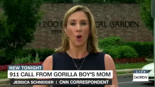 Gorilla gate: 911 call from boy's mother released