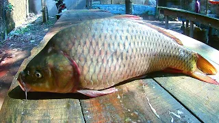 Incredible Big Carp Fish Cutting Skill | Amazing Cutting skills Carp Fish