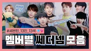 [SEVENTEEN] 13인 13색 세븐틴 멤버별 "Say the name" 모음